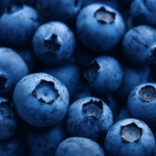 dark-blue-ripe-blueberry-macro-close-up-2023-04-07-00-06-46-utc