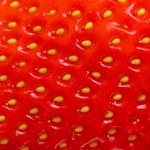 macro-of-strawberry-2022-03-18-14-25-16-utc